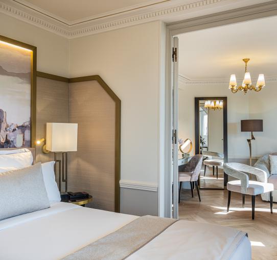 艾丽西亚酒店 - 豪华套房