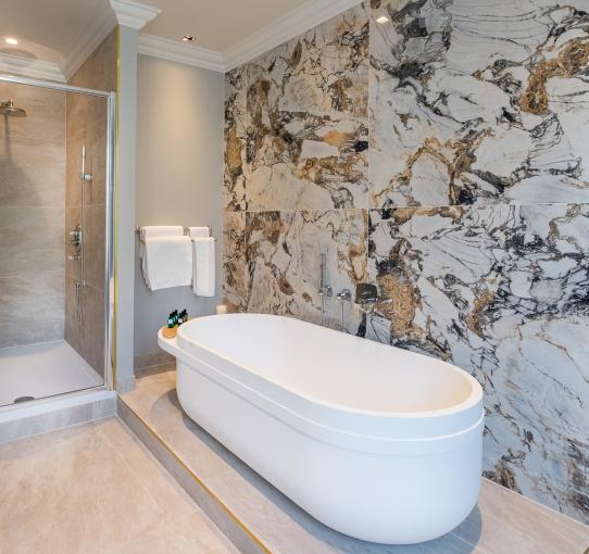 艾丽西亚酒店 - 巴黎套房