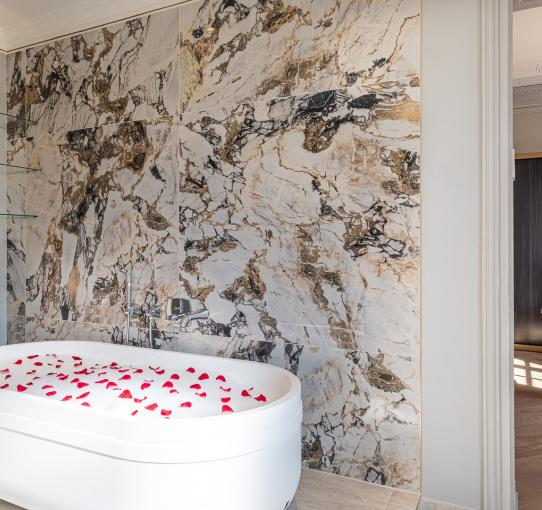 艾丽西亚酒店 - 巴黎套房