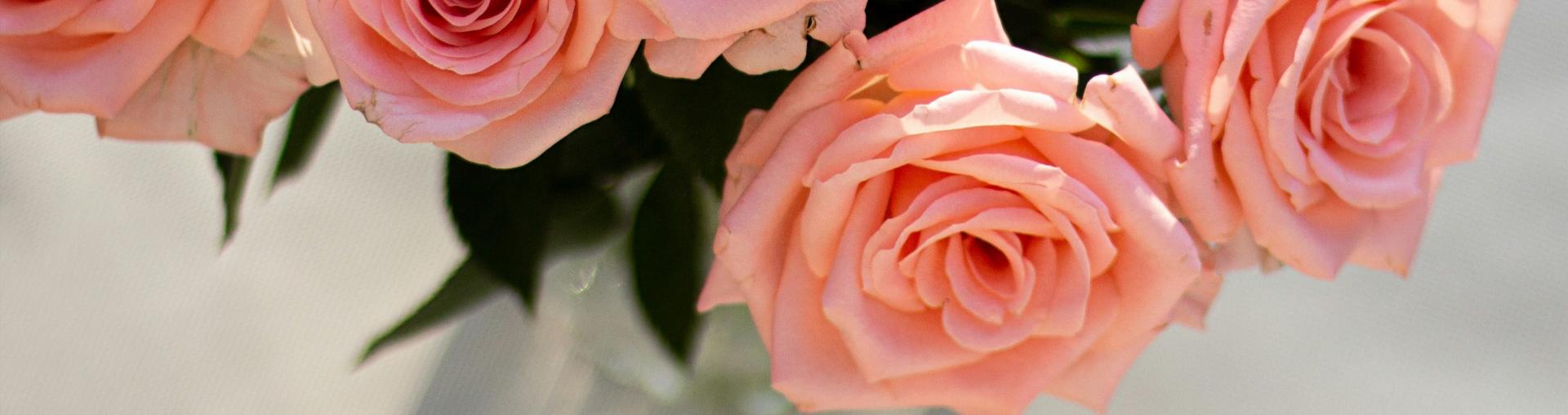 艾丽西亚酒店 - Lobby