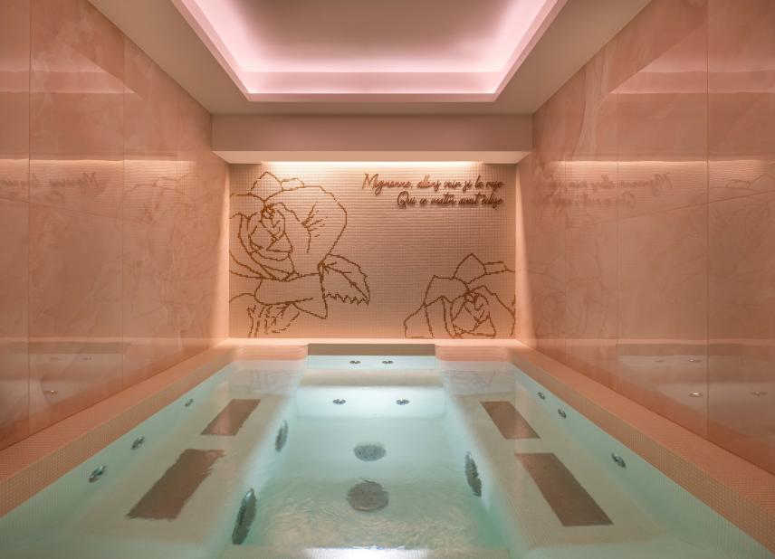 Hôtel Elysia - spa