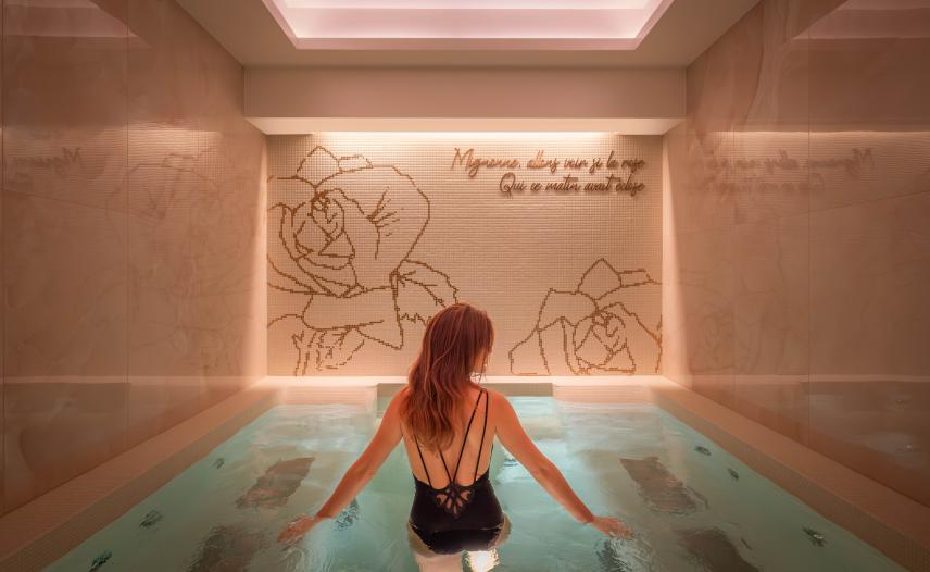 Hôtel Elysia - spa