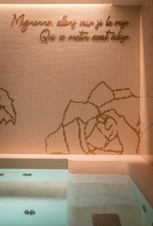 Hôtel Elysia - Spa & fitness